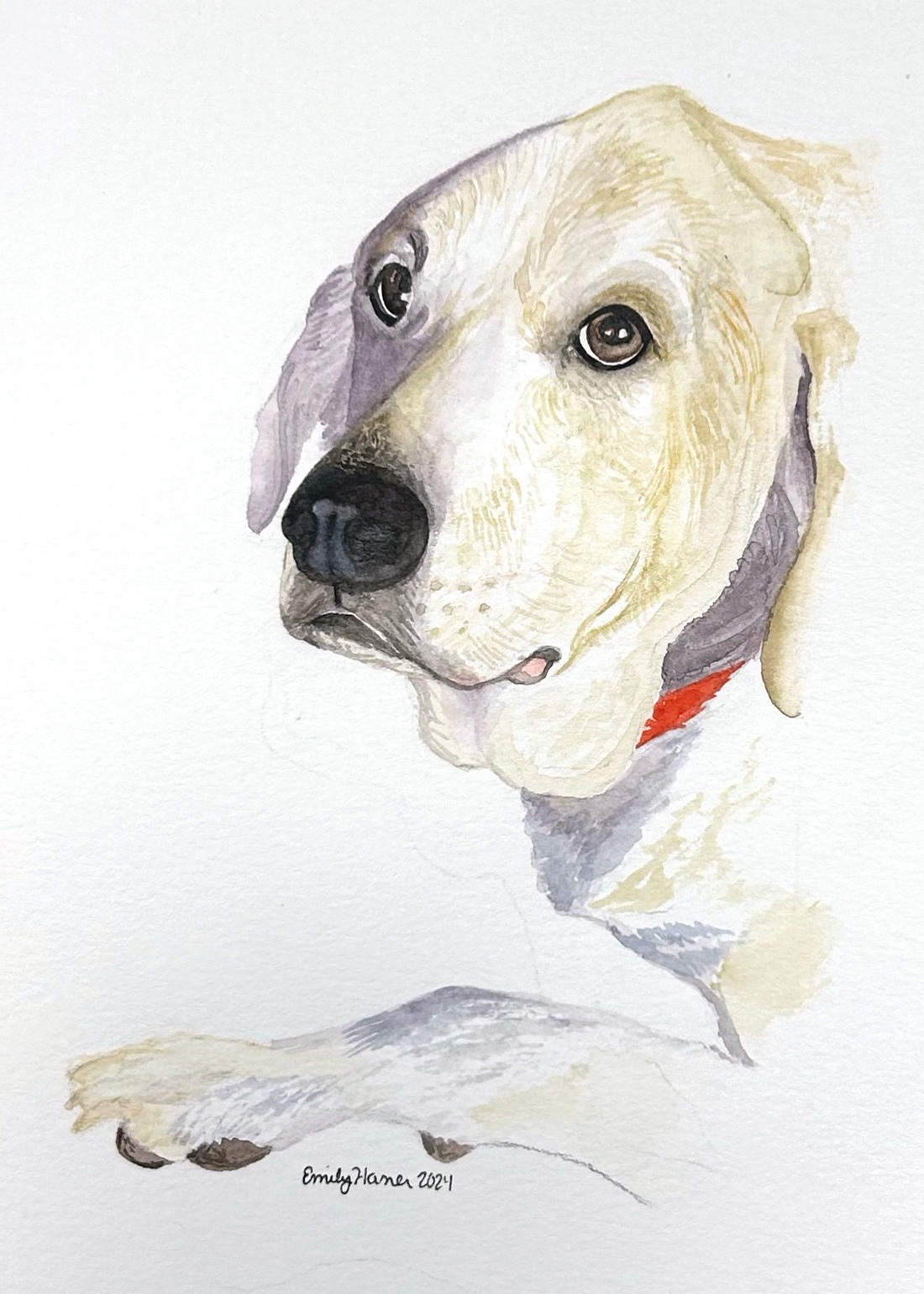 Watercolor portrait of Sophie, a yellow Labrador retriever